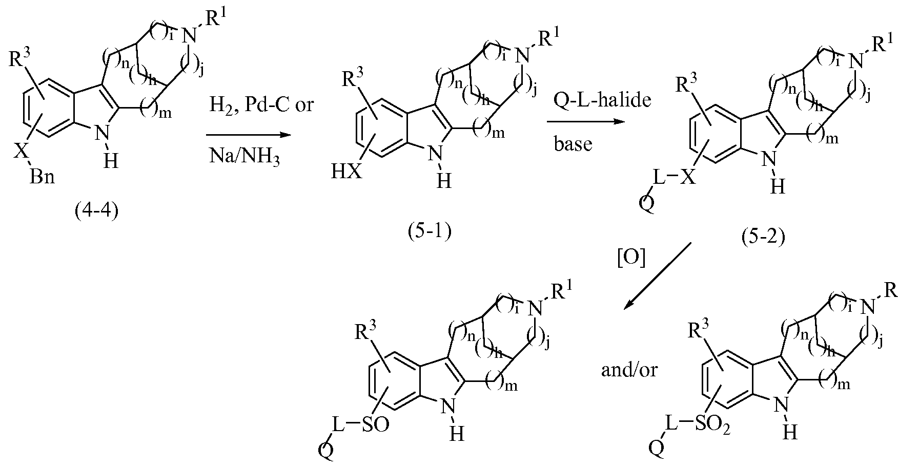 Figure imgf000053_0001