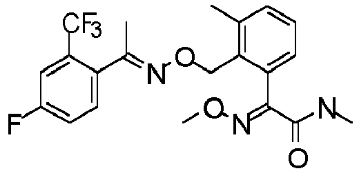 Figure imgb0557