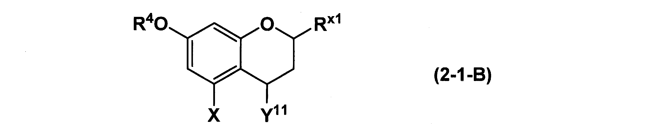 Figure JPOXMLDOC01-appb-C000023