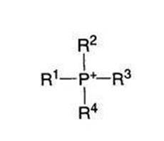 Figure JPOXMLDOC01-appb-C000011