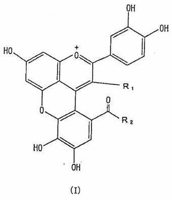 Figure JPOXMLDOC01-appb-C000025