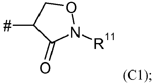 Figure imgb0107