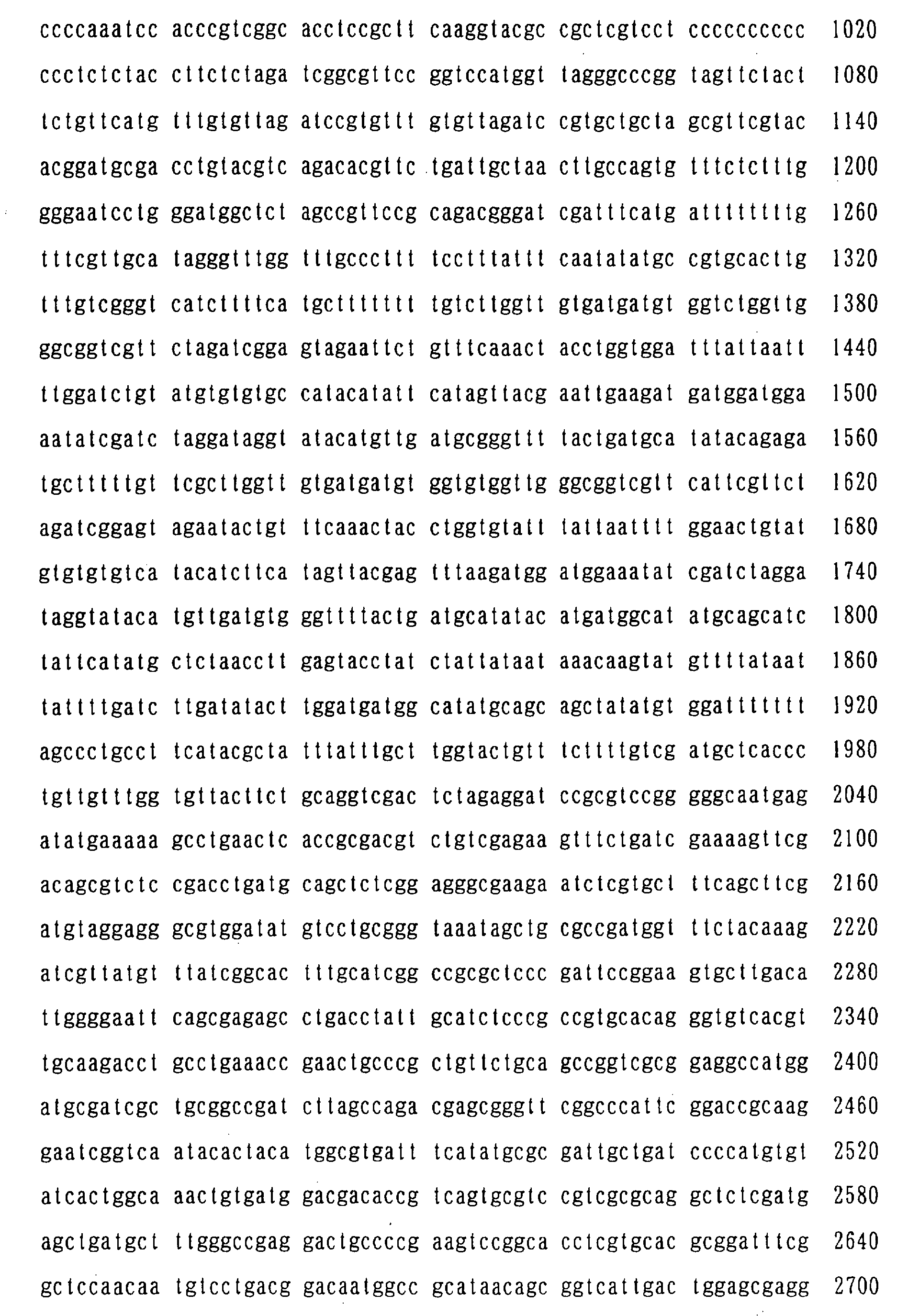 google patents