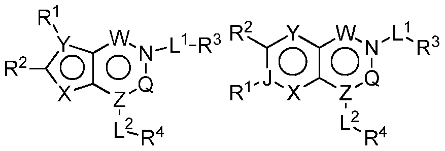 Figure imgf000003_0002