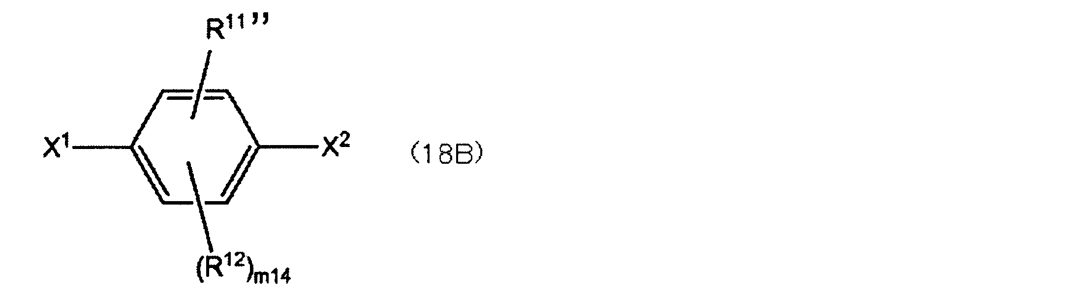 Figure JPOXMLDOC01-appb-C000020