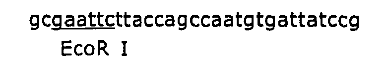 Figure imgb0016