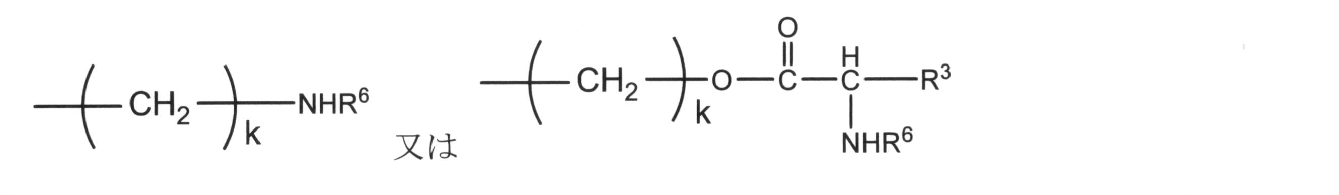 Figure JPOXMLDOC01-appb-C000018