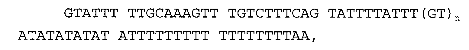 Figure 00250006