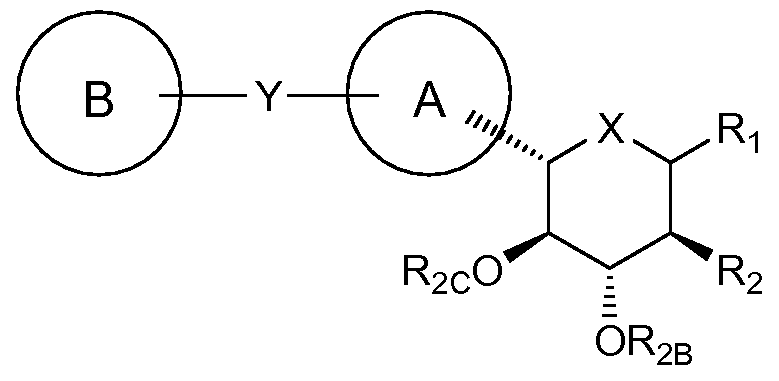 Figure imgf000062_0002
