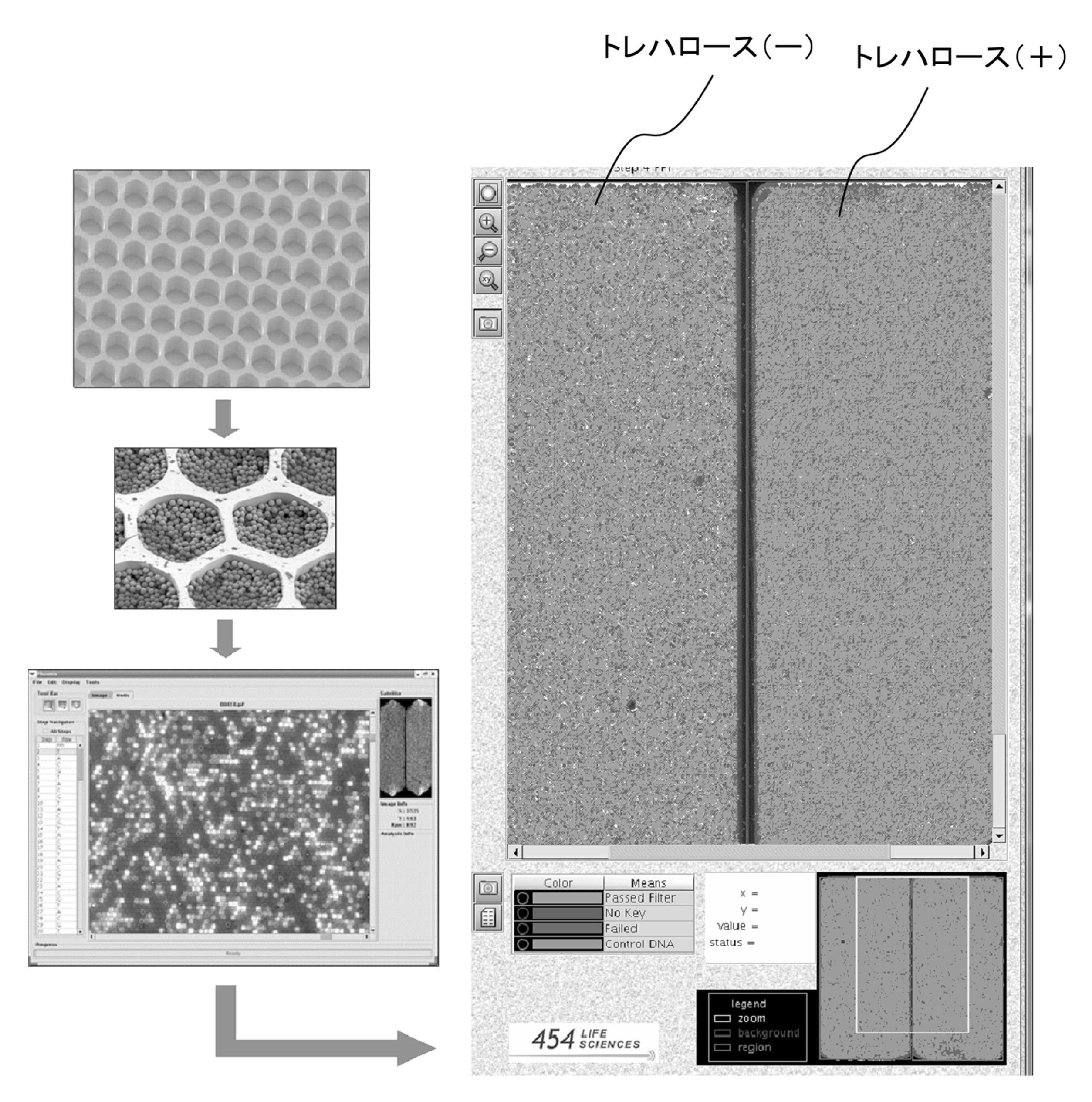 google patents