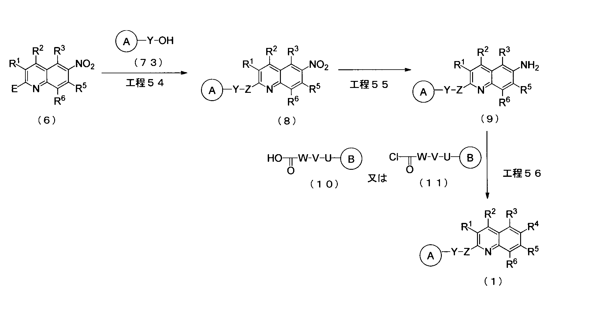 Figure JPOXMLDOC01-appb-C000043