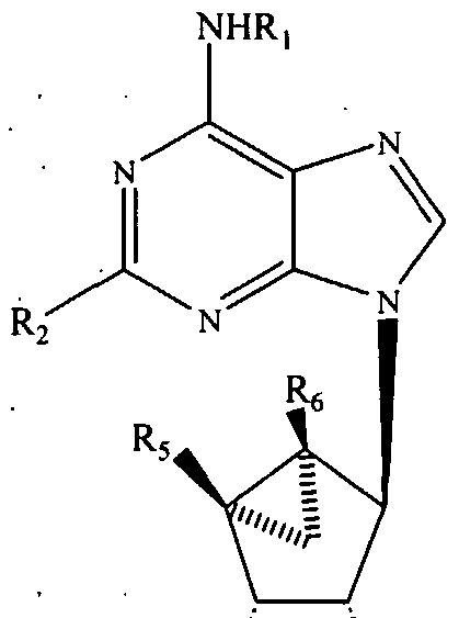 Figure imgf000061_0001