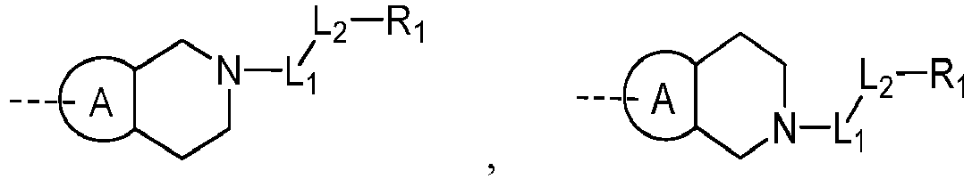 Figure imgb0205