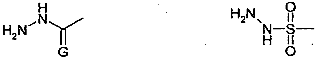 Figure imgb0087
