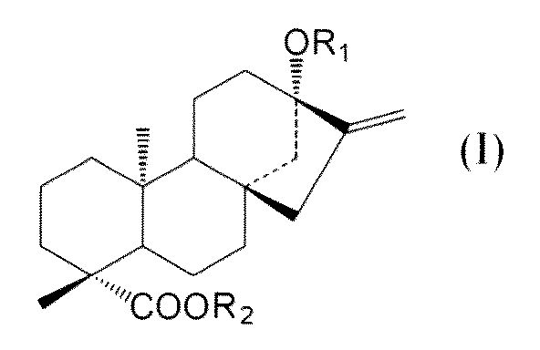 Figure JPOXMLDOC01-appb-C000031