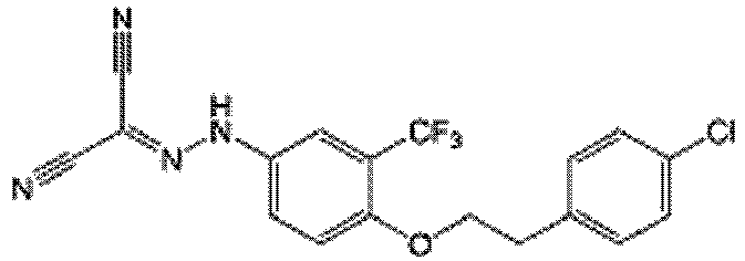 Figure imgb0135