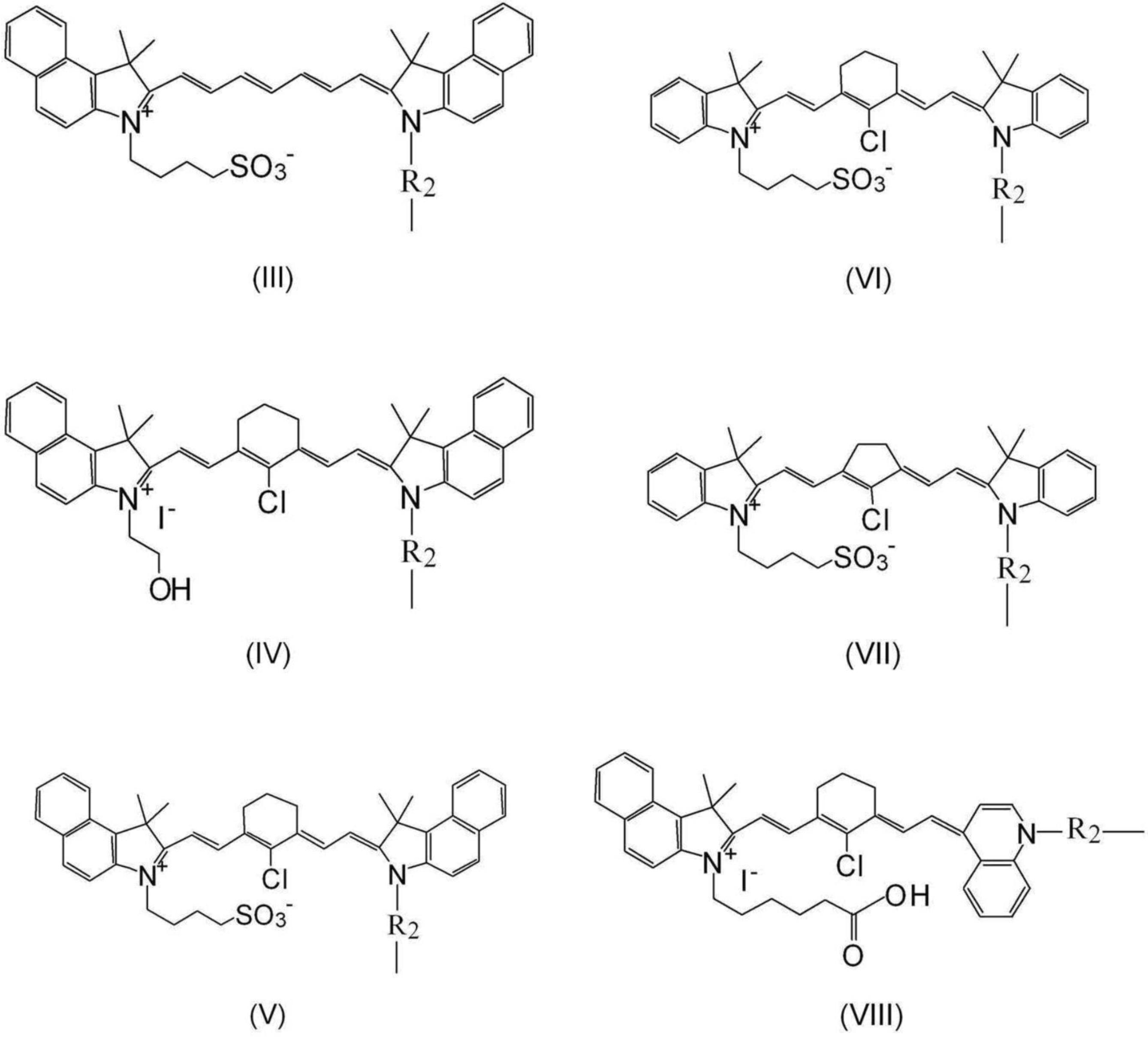Figure JPOXMLDOC01-appb-C000007
