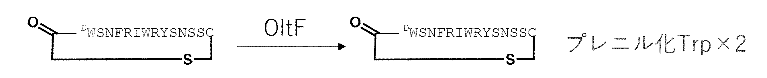 Figure JPOXMLDOC01-appb-C000061