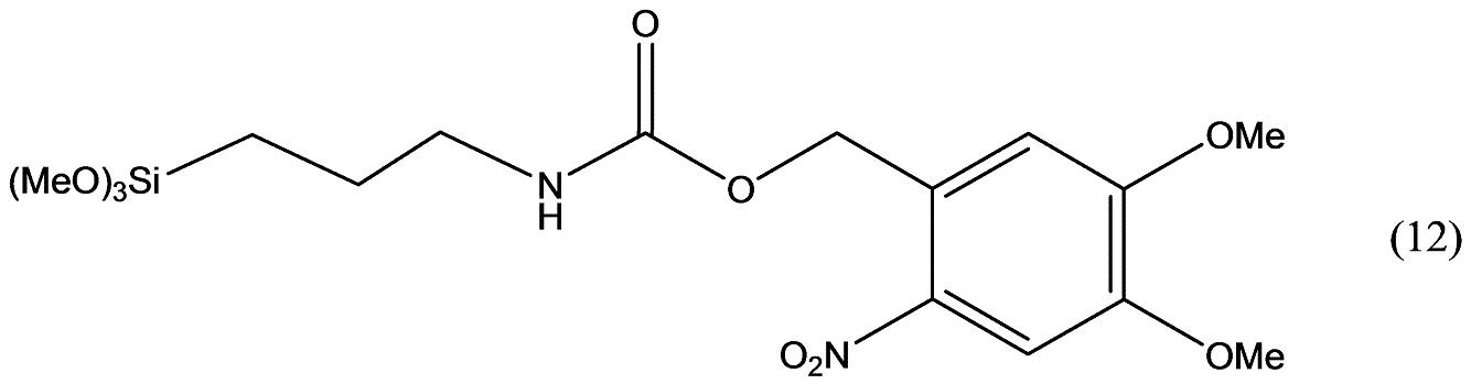 Figure JPOXMLDOC01-appb-C000019