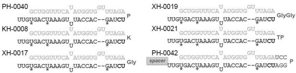 Figure JPOXMLDOC01-appb-C000042