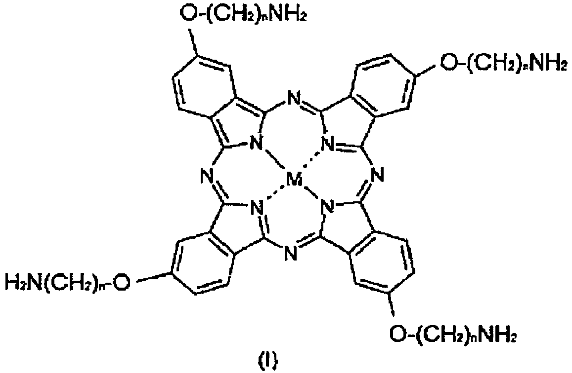 Figure imgb0013