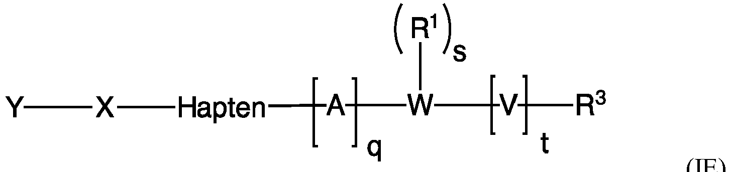 Figure imgb0026