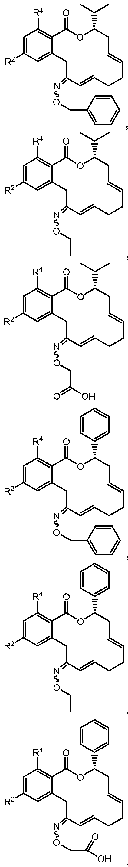 Figure imgf000039_0001