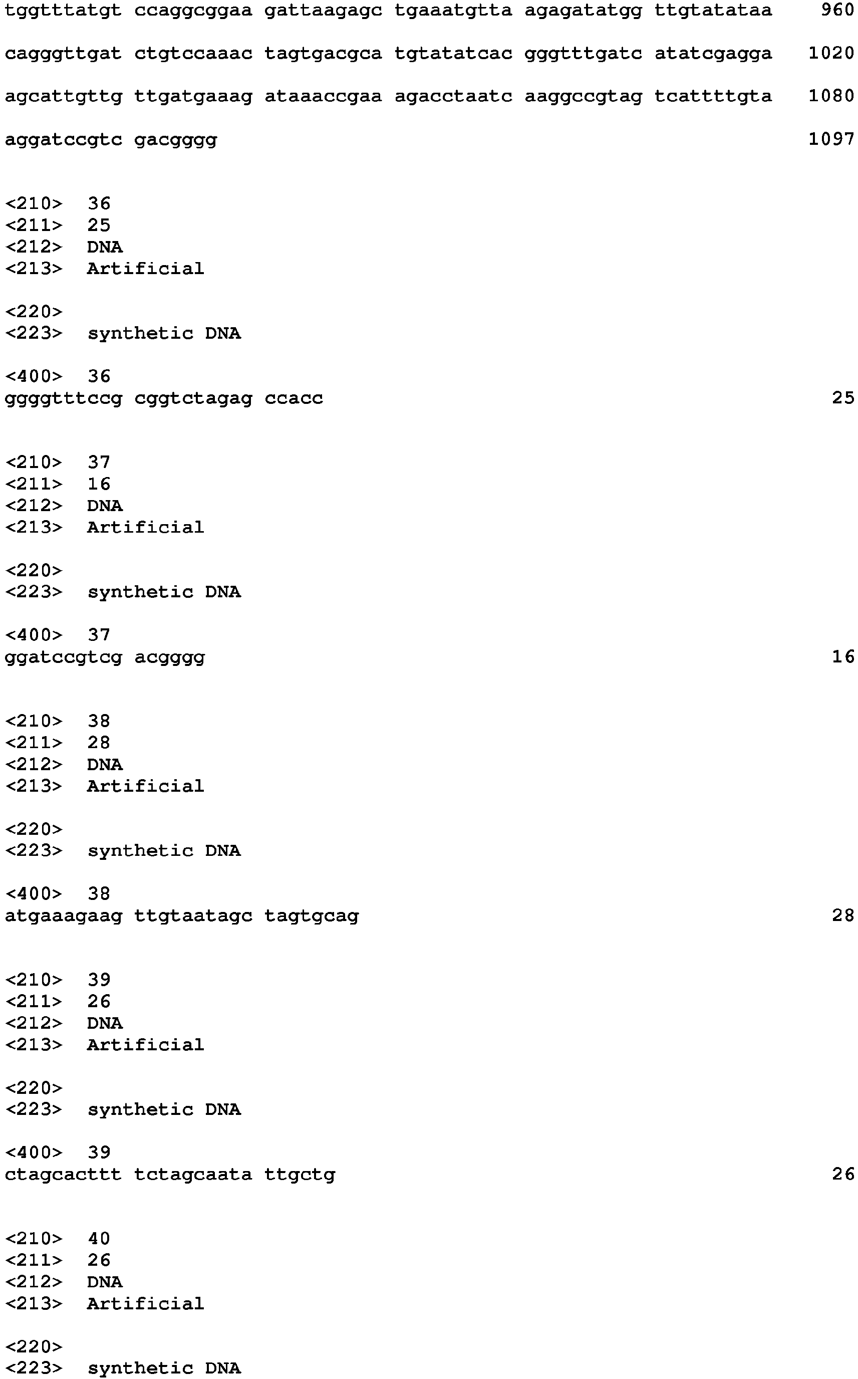 Figure imgb0025
