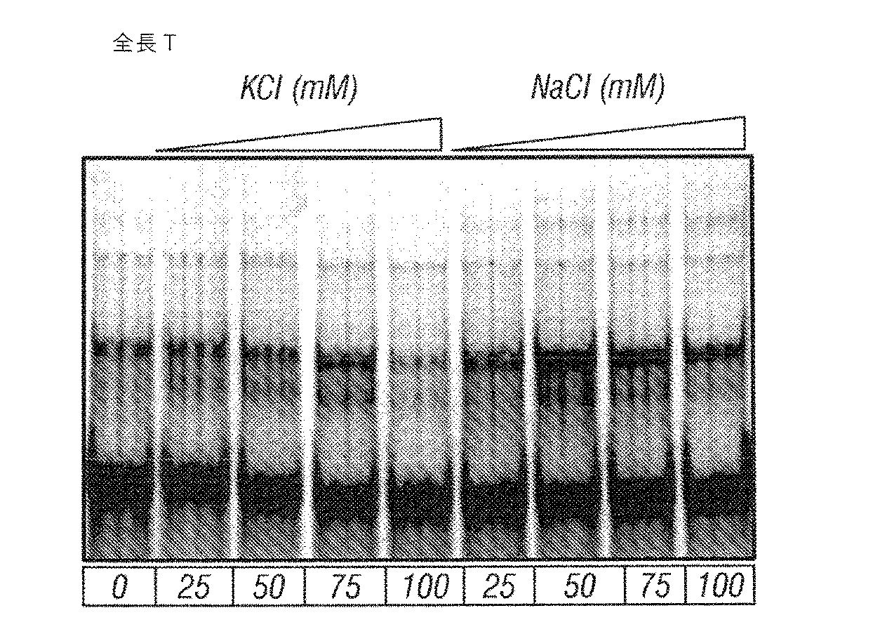 Jp2017519770a ｏｄｃ１遺伝子型に基づく癌腫の診断および処置 Google Patents