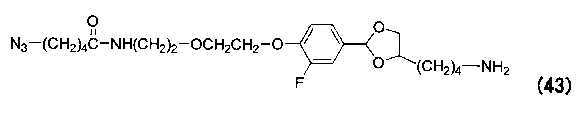Figure JPOXMLDOC01-appb-C000061