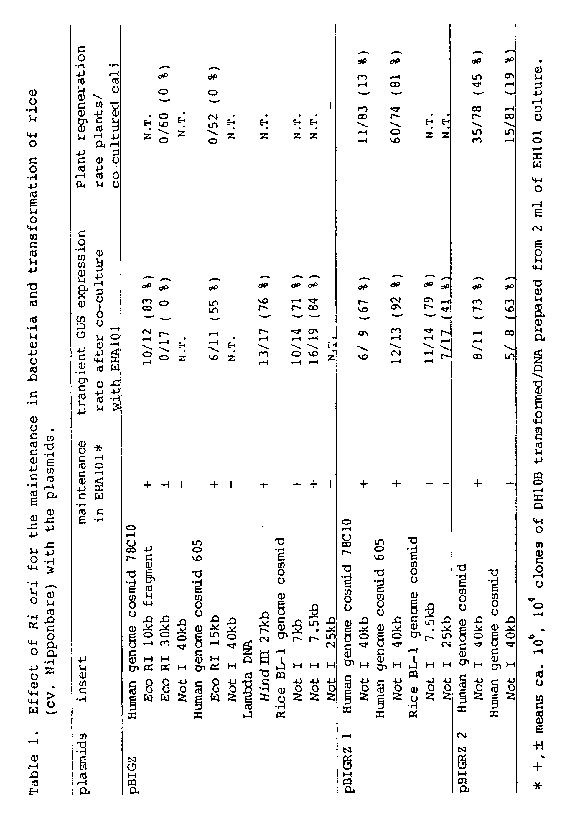 Figure 00240001