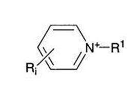 Figure JPOXMLDOC01-appb-C000012