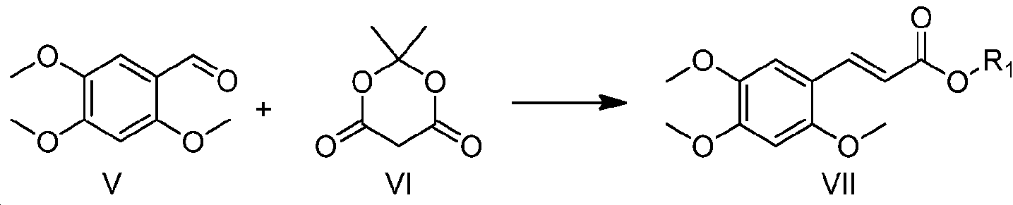 Figure pct00052