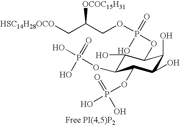 Figure US07820803-20101026-C01116