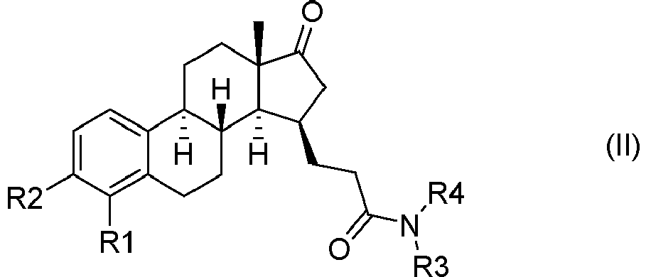Figure imgb0004