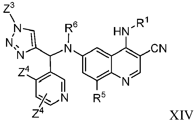 Figure imgb0049