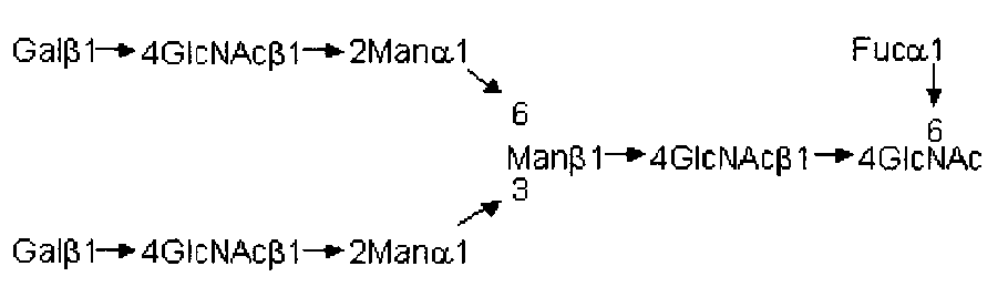 Figure JPOXMLDOC01-appb-C000002