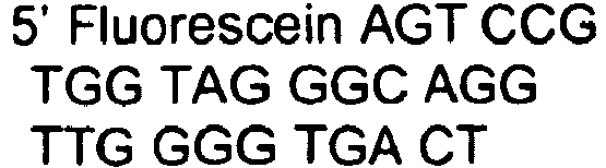 Figure imgb0001