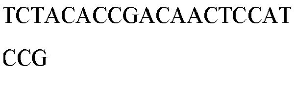 Figure imgb0019