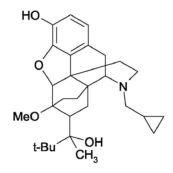 ep1810669a1-application-form-for-burprenorphine-google-patents