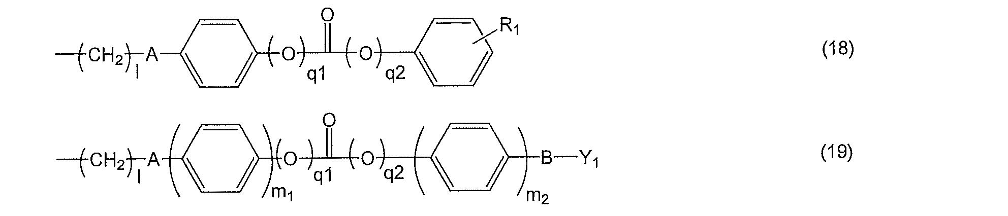 Figure JPOXMLDOC01-appb-C000028