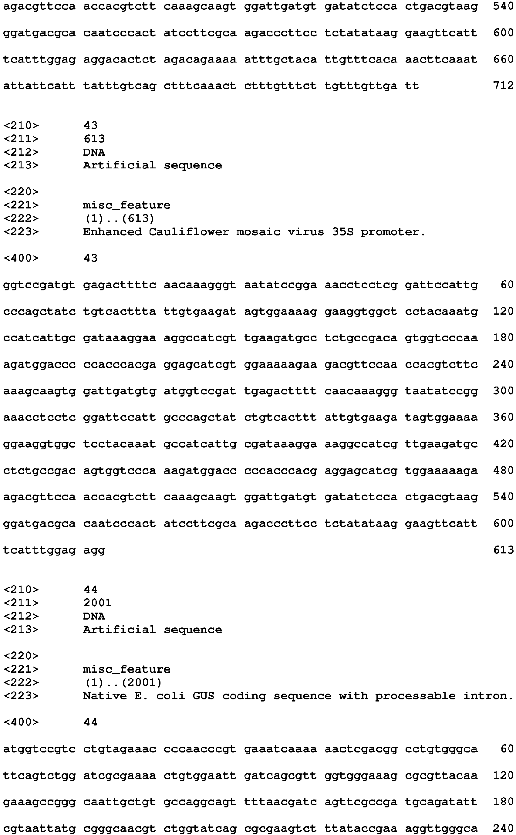 Figure imgb0019