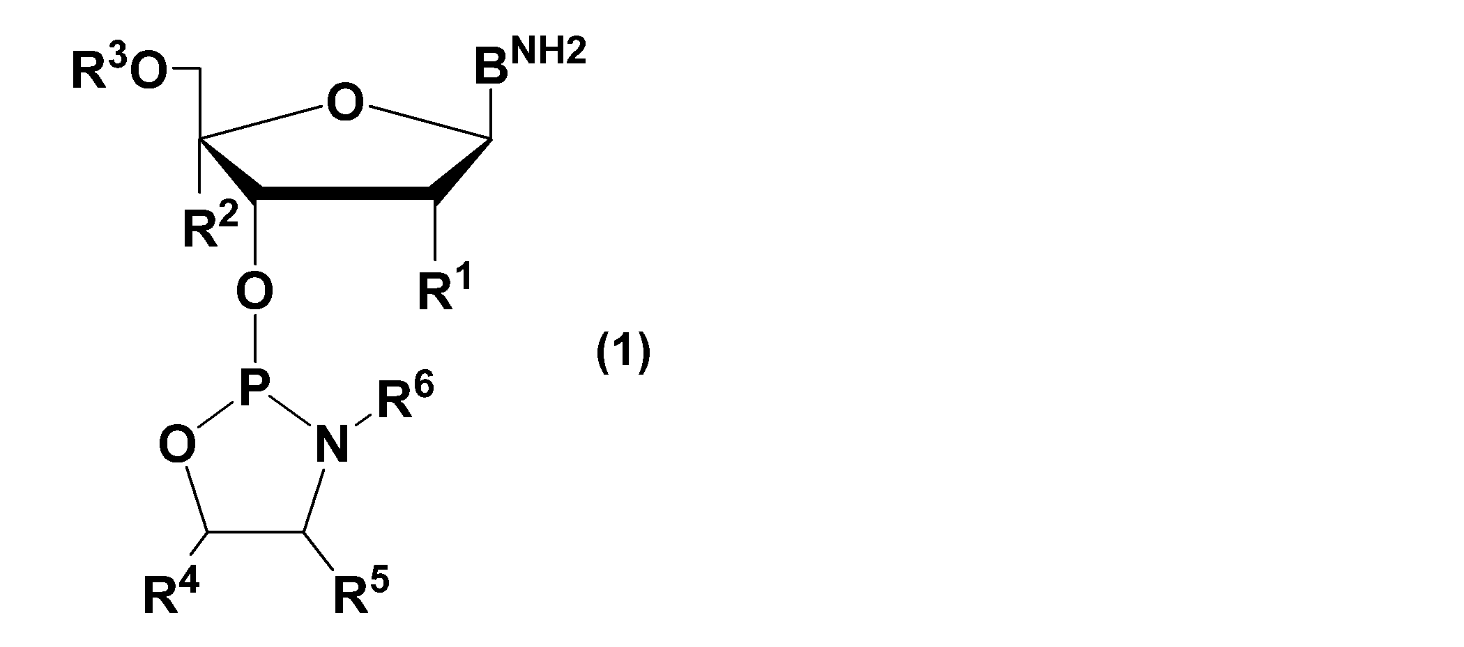 Figure JPOXMLDOC01-appb-C000013