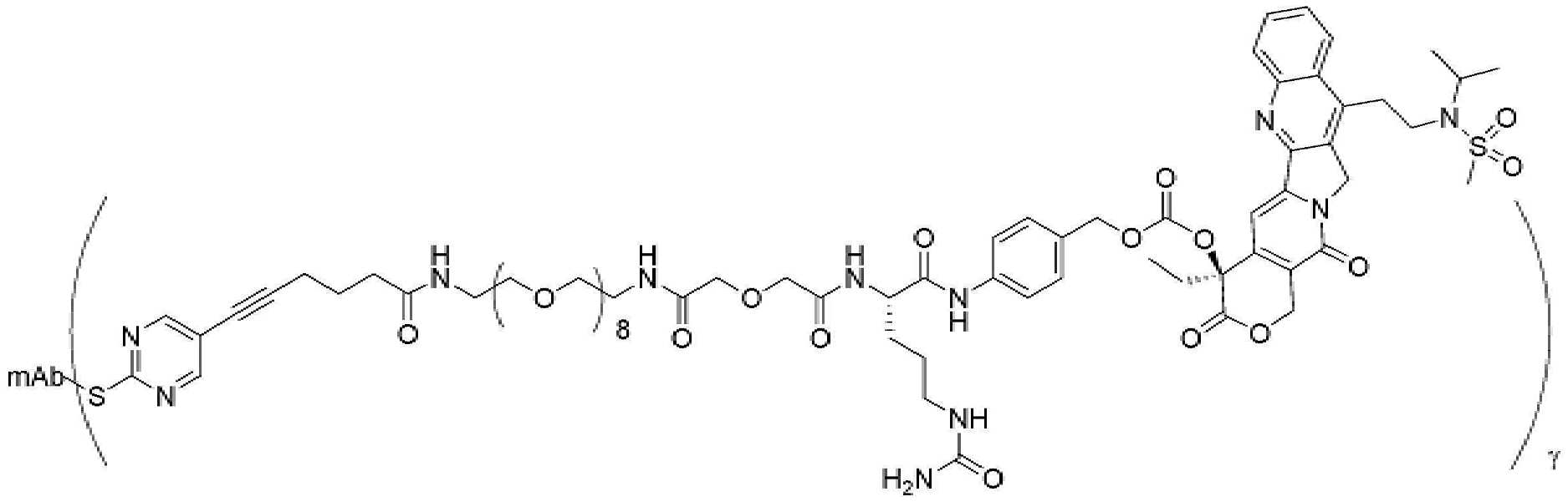 Figure pct00458