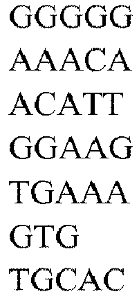 Figure imgb0369
