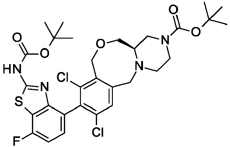 Figure imgb0205