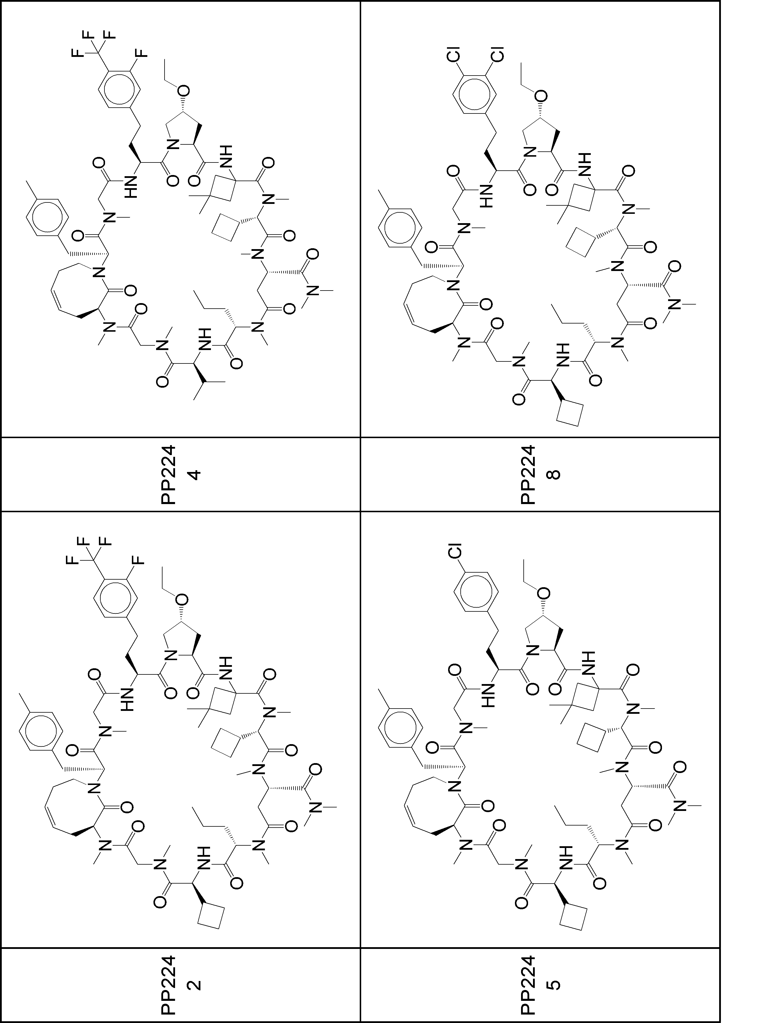 Figure JPOXMLDOC01-appb-I001031