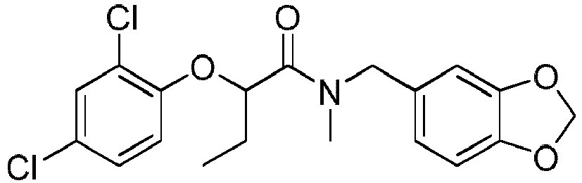 Figure imgb0019