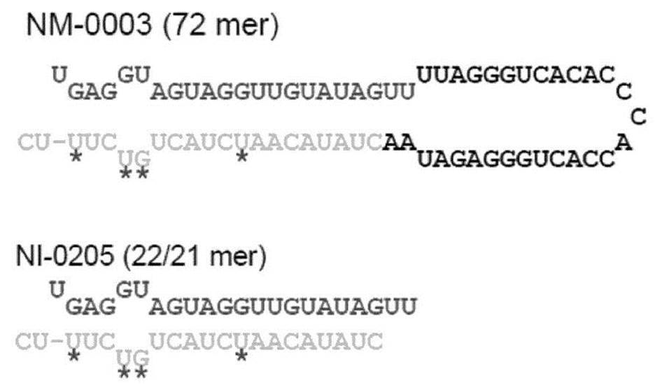 Figure JPOXMLDOC01-appb-C000038