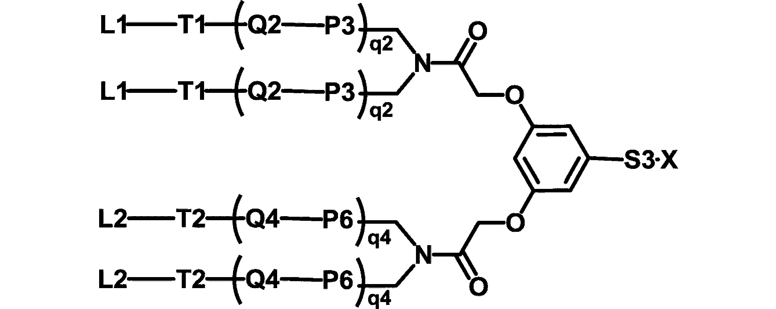 Figure JPOXMLDOC01-appb-C000013